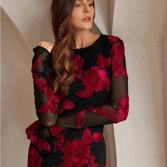 Anewsta Elegant Black and Red Floral Dress - Picture 5 of 14